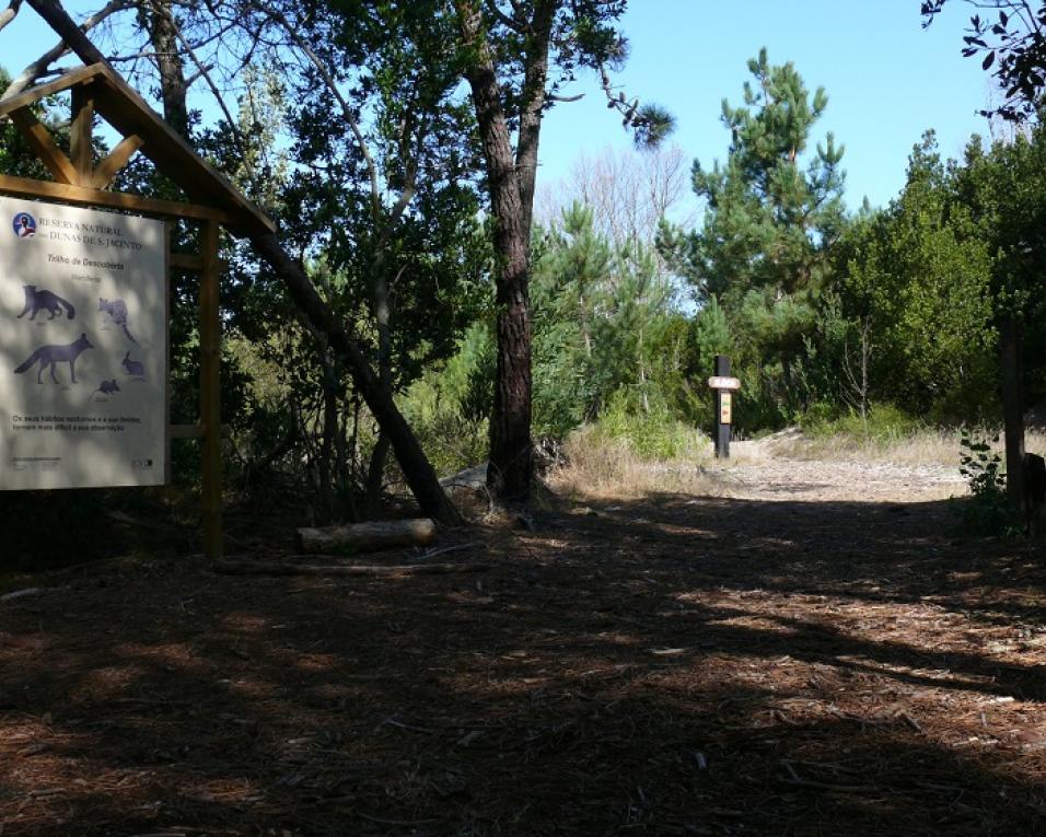 Aveiro: Autarquia apresenta protesto pelo encerramento da Reserva a visitas.