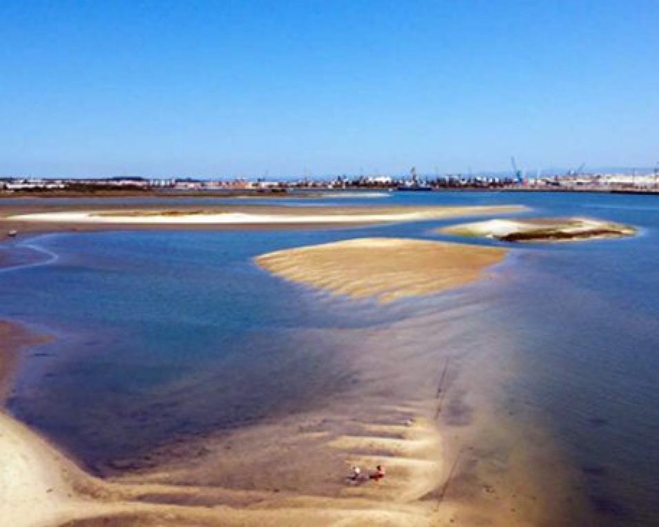 PS congratula-se com o Desassoreamento da Ria de Aveiro.