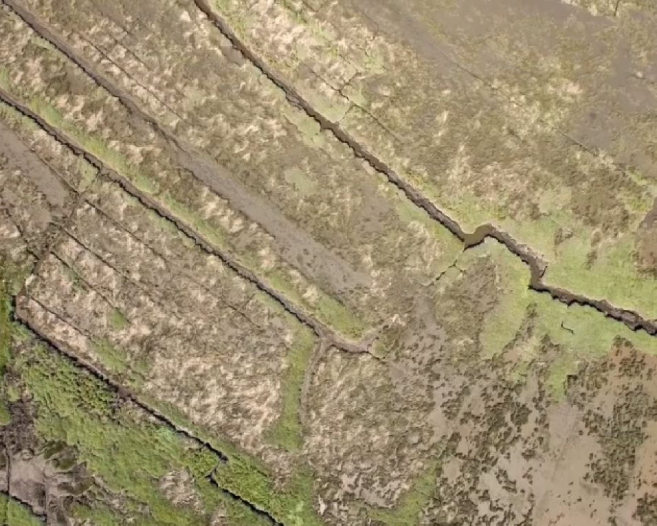 Maria José Santana assina uma obra sobre as “ilhas da ria de Aveiro”.