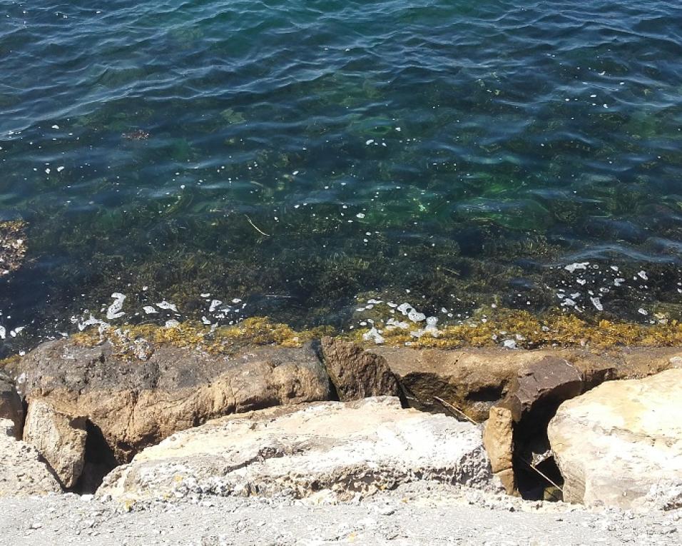 Pesca interdita aos fins de semana em águas interiores.