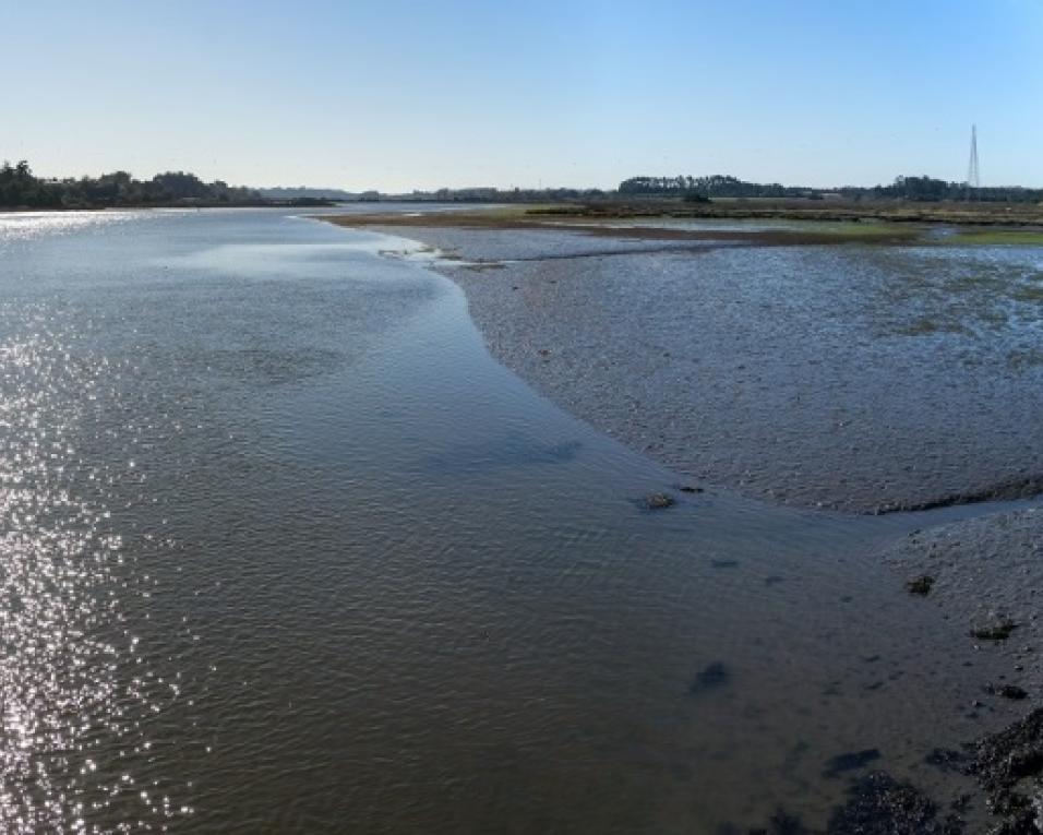 Aveiro: Região lança operação de dragagem em cais de cinco Municípios.