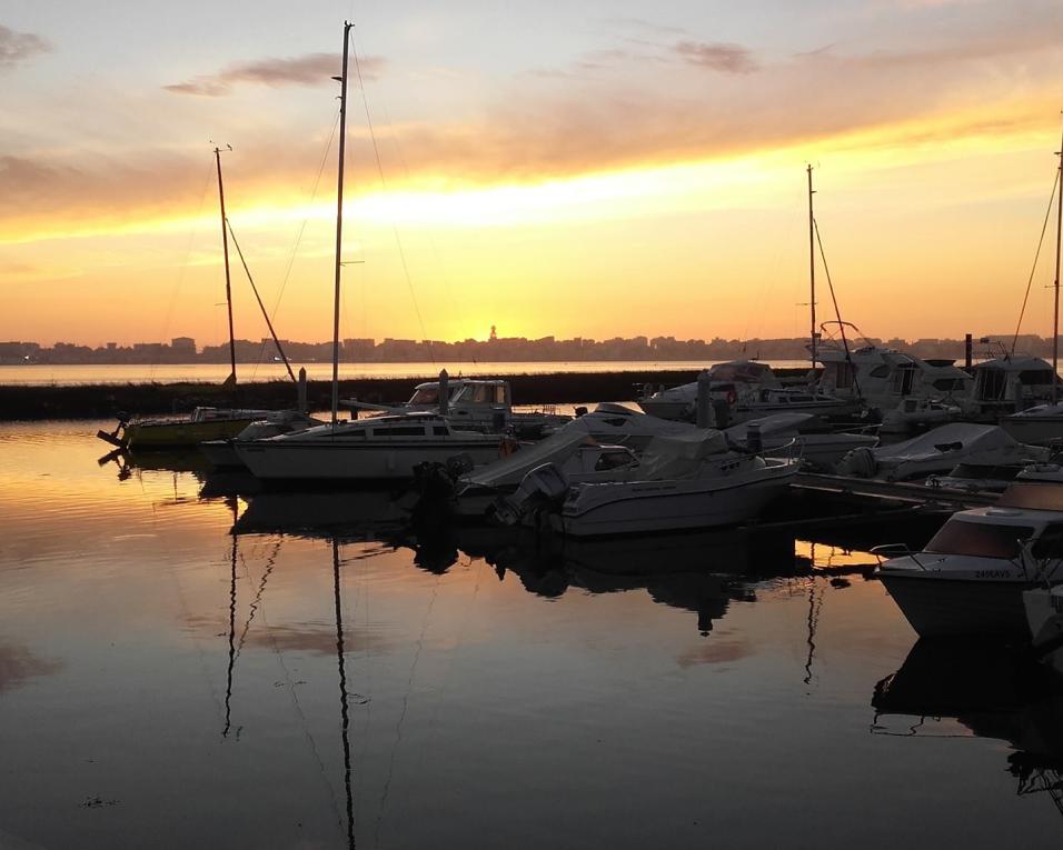 Ílhavo recebe esta quinta participantes no Portugal Rowing Tour.