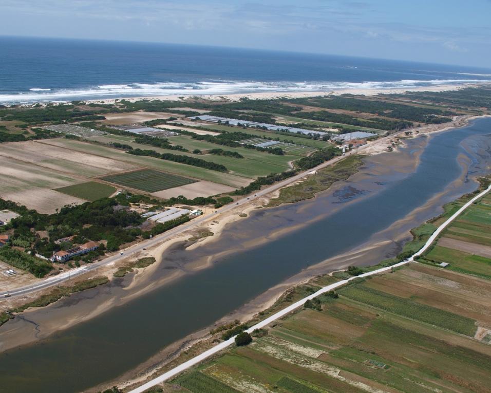 Vagos: Polis Litoral Ria guia visita às obras de desassoreamento.