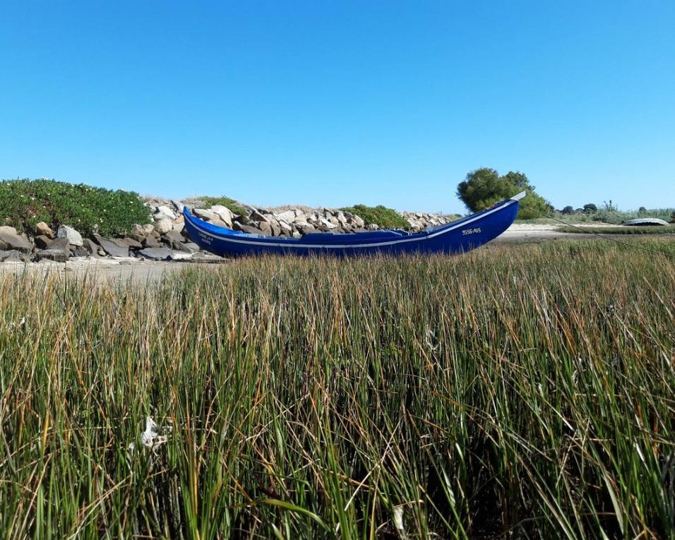 Gafanha da Encarnação: “Ria Run and Bike” alia desporto e solidariedade.