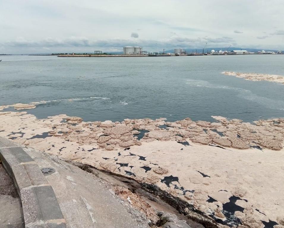 Porto de Aveiro esclarece que espuma que surgiu na ria resulta das dragagens e não representa risco.