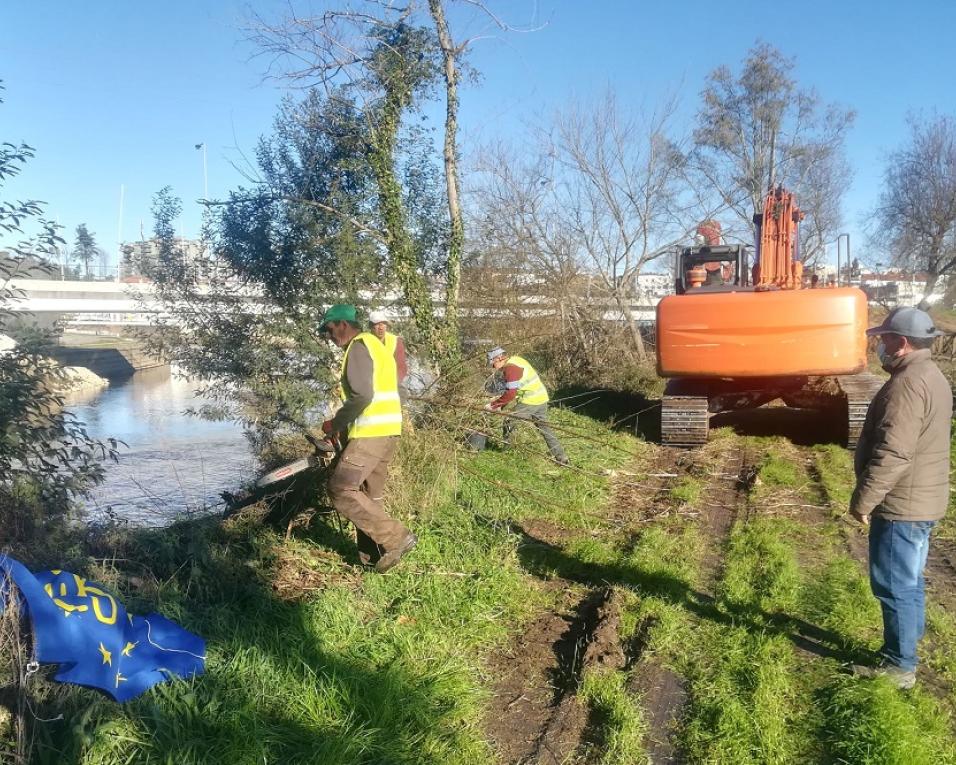 Águeda: Autarquia assegura limpeza e reflorestação das margens dos rios Águeda e Alfusqueiro.