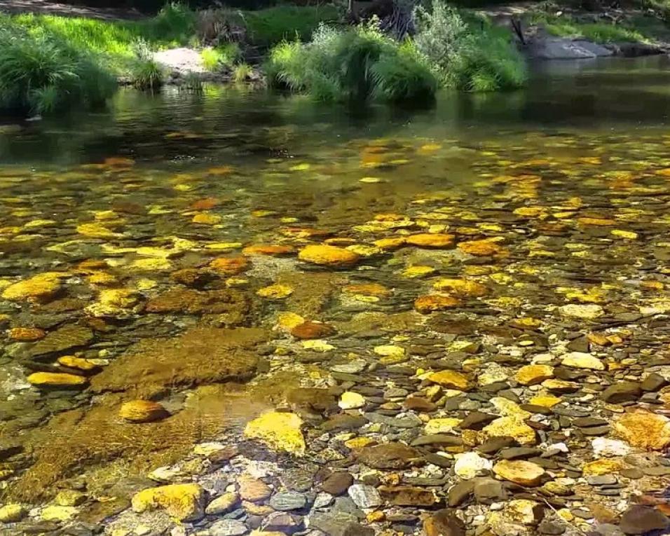 Águeda: Turistas perdidos no Alfusqueiro encontrados na madrugada de domingo.