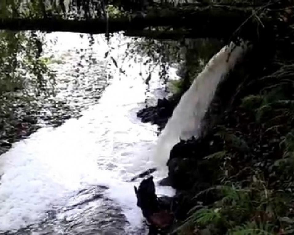 Quercus exige acesso aos resultados das vistorias às descargas no Rio Caima.