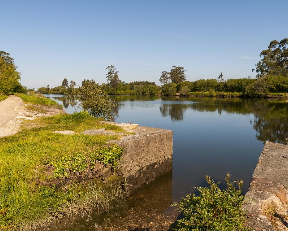 Aveiro: CIRA lança novo concurso para obra da ponte-açude do Rio Novo do Príncipe.