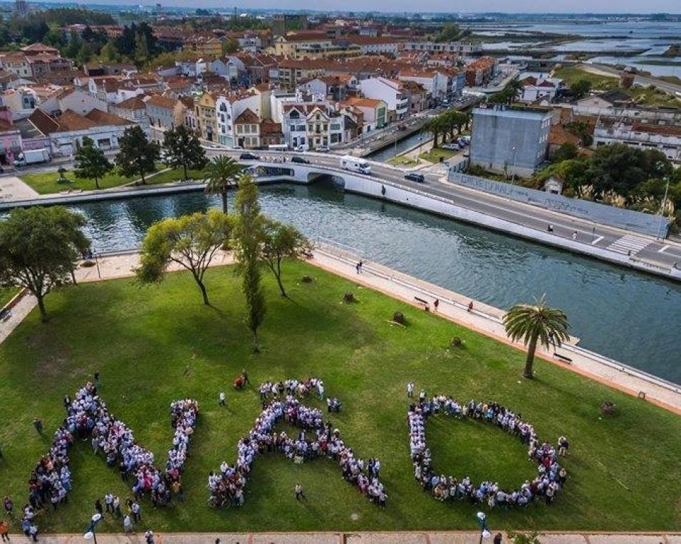 Aveiro: Juntos pelo Rossio diz que acusações de Ribau Esteves servem para desviar atenções.