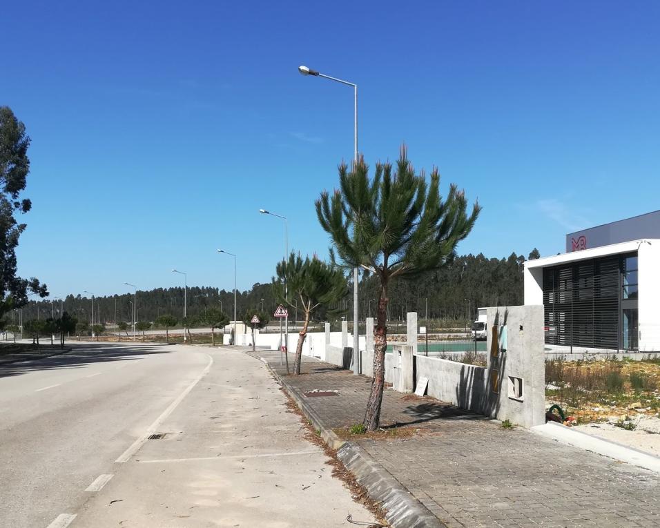 Município de Anadia aliena lotes na Zona Industrial de Vilarinho do Bairro.