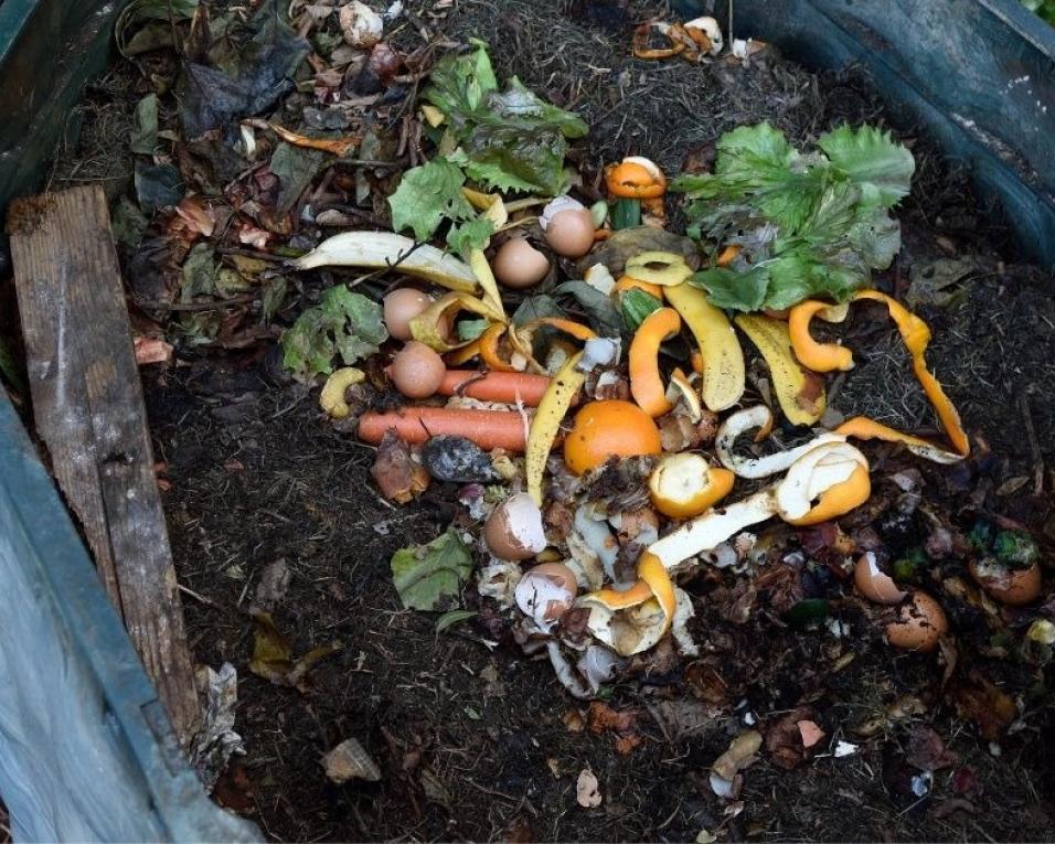 Projeto de compostagem doméstica, Sem Sobras desenvolvido com o apoio da Câmara de Aveiro.