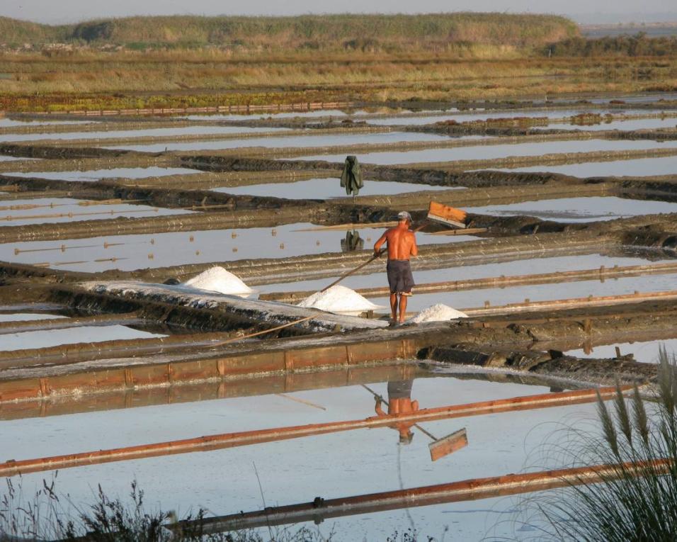 Aveiro: PCP quer regras claras sobre produção de sal biológico.