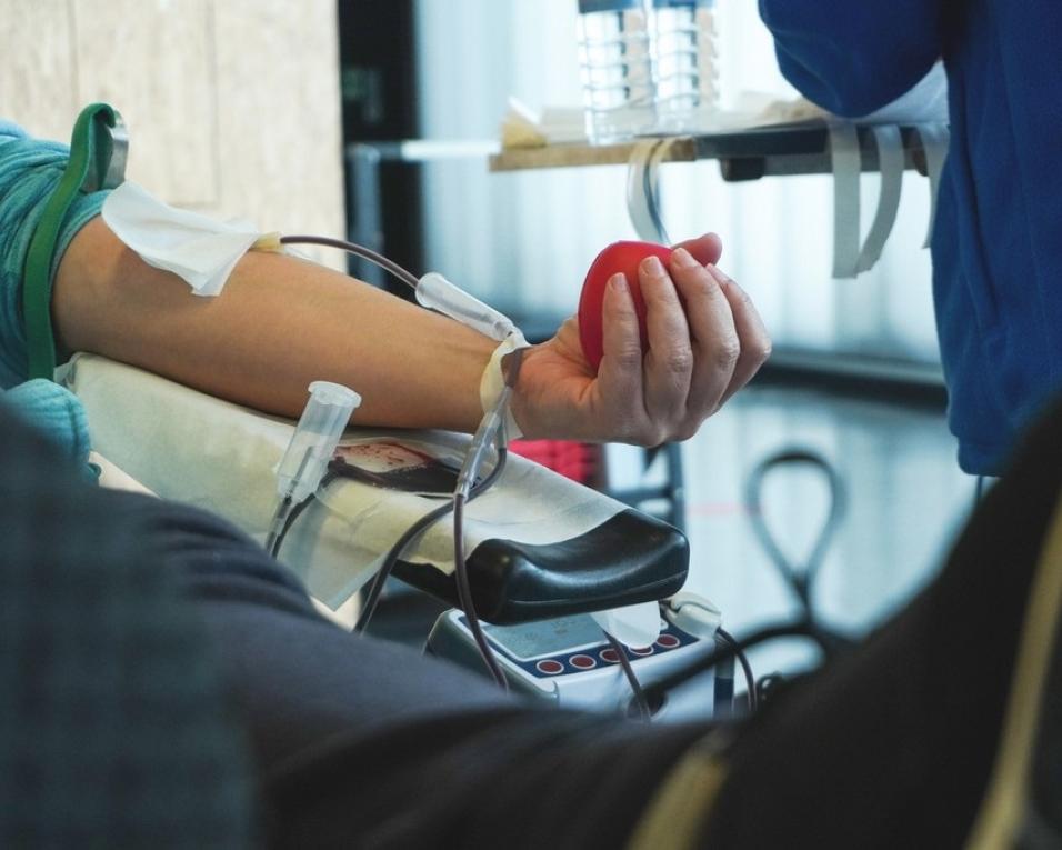Ílhavo:Centro Hospitalar e Universitário de Coimbra (CHUC) promove uma campanha dedicada à dádiva de sangue.