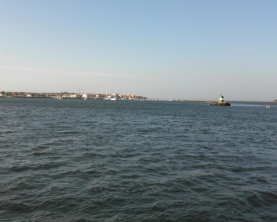 Aveiro: Autarquia leva a hasta pública espaços de venda no Festival Dunas de São Jacinto.
