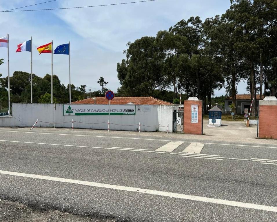 Residentes no parque de campismo de São Jacinto tentam providência cautelar para evitar encerramento..