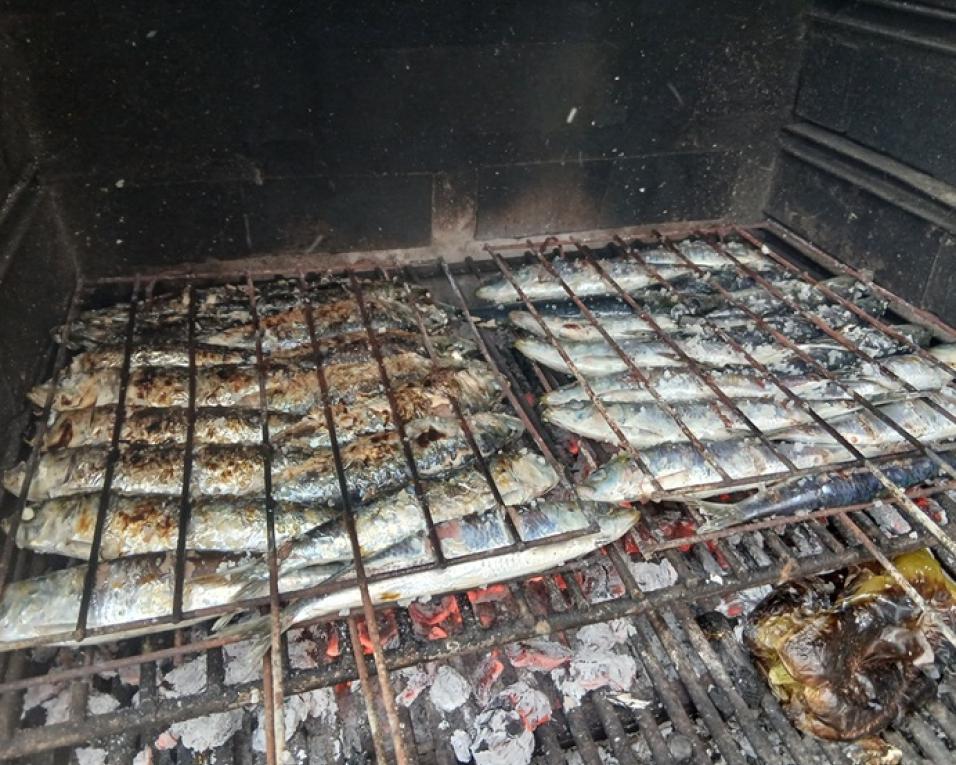 agueda apoia realizacao de festival da sardinha
