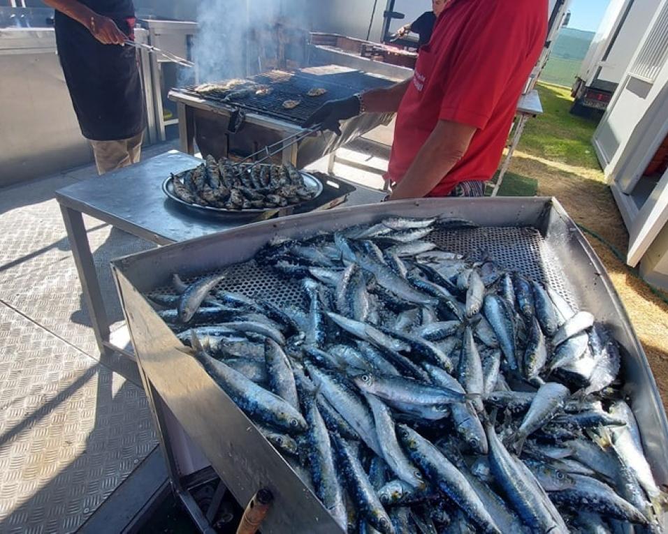 festival da sardinha bate recordes