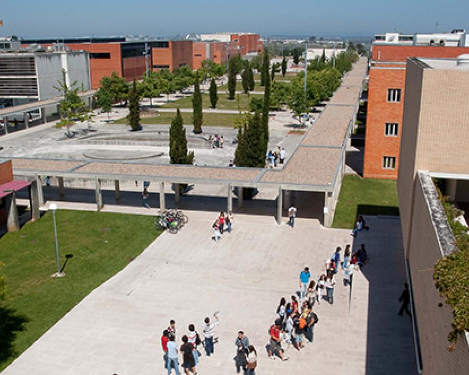 Microsoft Portugal promove o 'EDU Day' na UA.