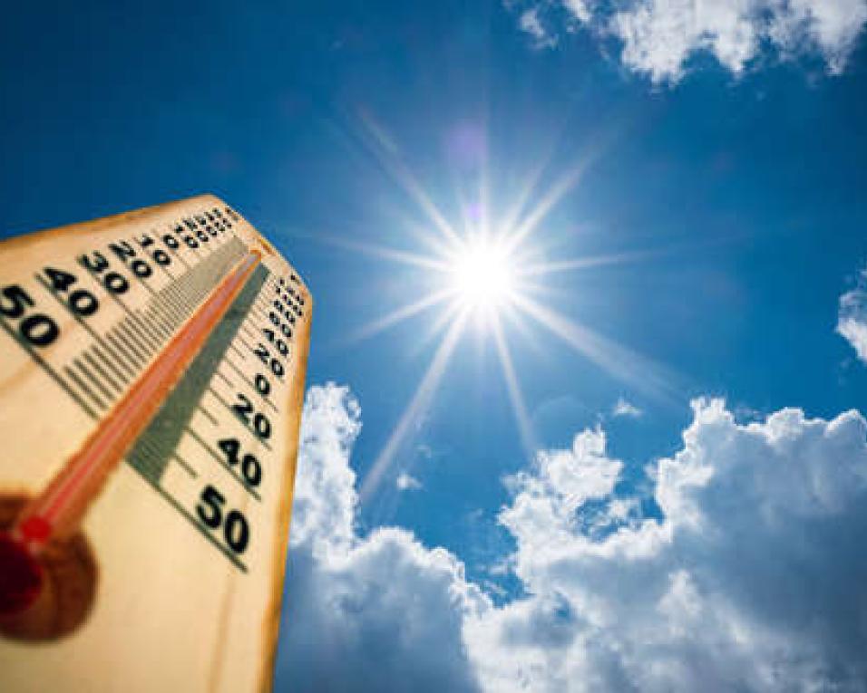 Temperaturas podem chegar aos 38 graus em municípios da Região de Aveiro.