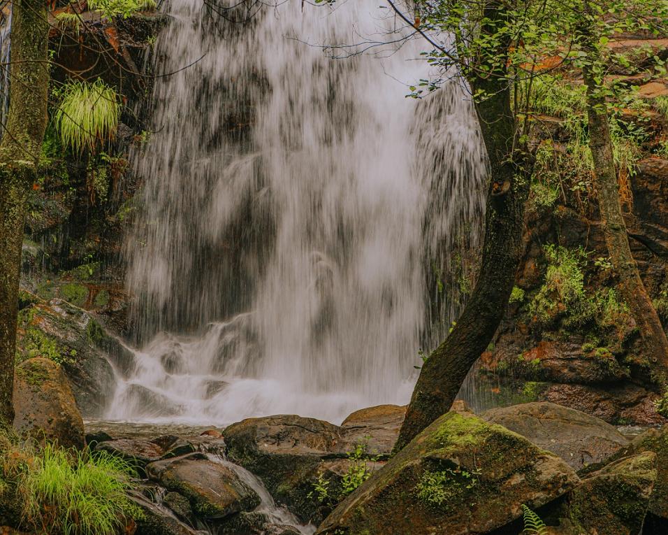 Natureza e tradição são as apostas para o futuro do turismo em Sever.