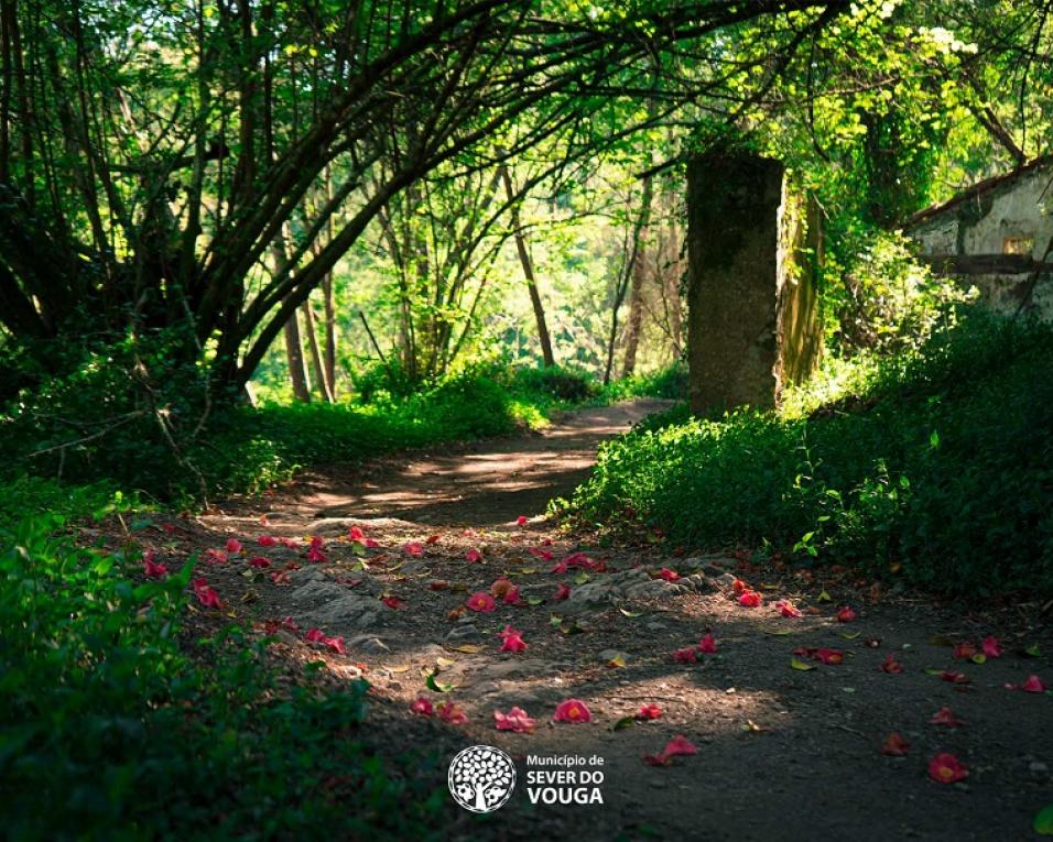 Complexo das ruínas das Minas do Braçal aproveitado para turismo.