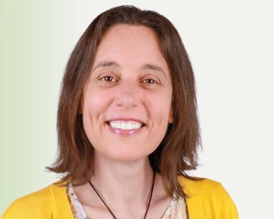 ps apresenta candidatura em aradas