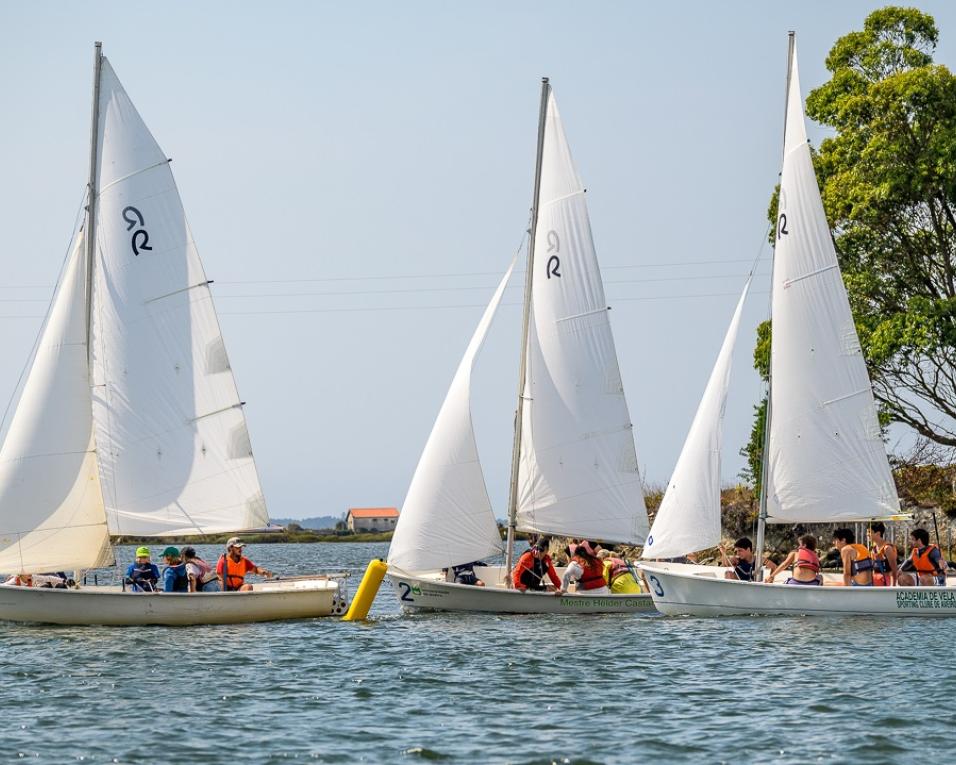 Escola de Vela do Sporting de Aveiro celebra Dia do Mar.