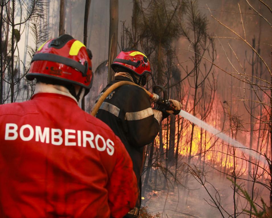 Continua activo fogo em floresta em Pinheiro da Bemposta.