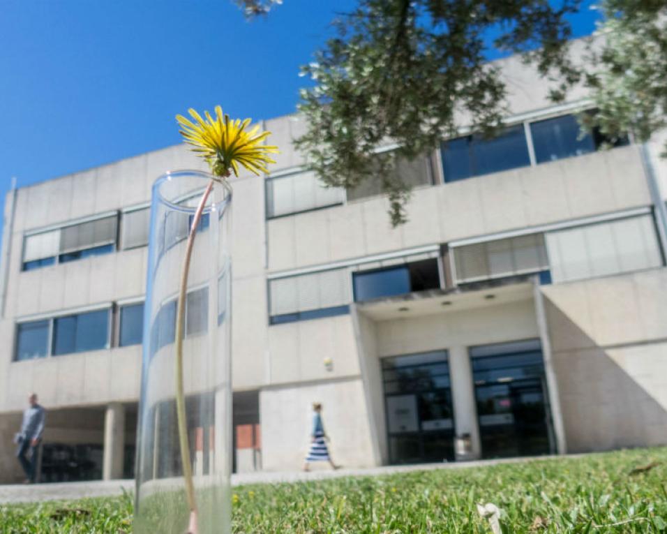 Fábrica da Ciência e UA assinalam Dia Mundial do Ambiente.