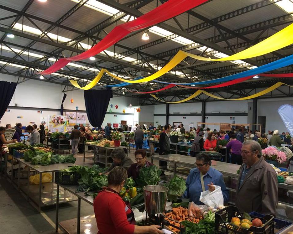 Feira Animal junta-se ao CRIAI no Mercado de Ílhavo.