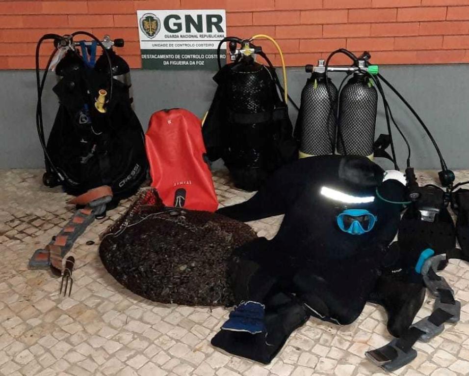 GNR: Identificados mergulhadores por captura em zonas proibidas.