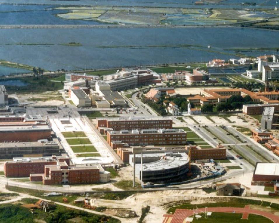 Universidade de Aveiro na segunda posição nacional de produção científica no indicador “Nature”.