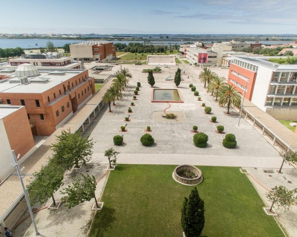 Oceanóloga da Universidade de Aveiro conquistou uma bolsa da National Geographic Society.