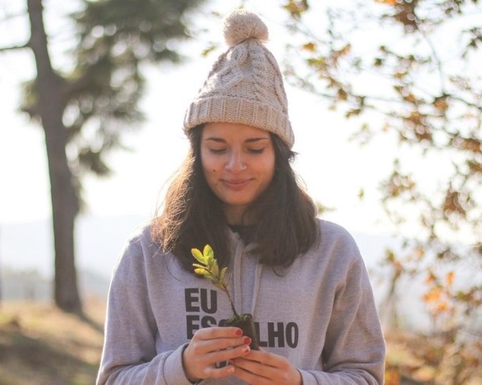 UA lança projeto Plantar o Futuro com apadrinhamento de árvores. 