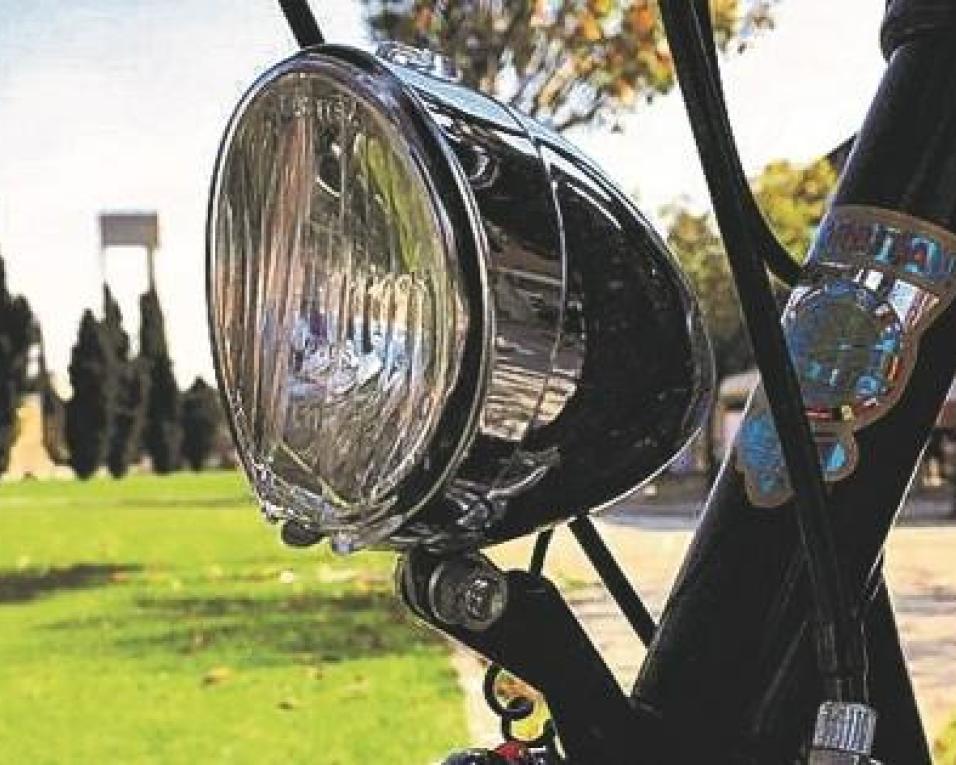 Alunos da UA plantam árvores em Albergaria.