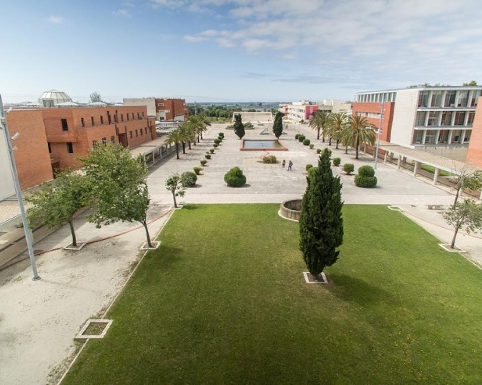 Universidade de Aveiro mobiliza-se para ensinar e aprender à distância.