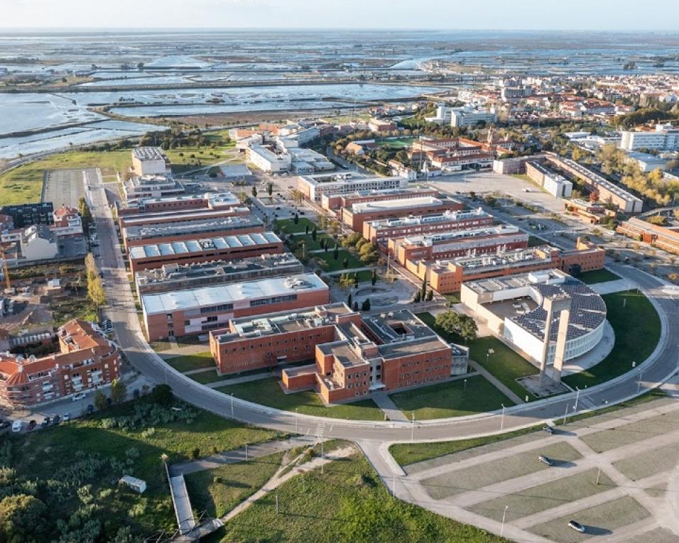 Universidade de Aveiro contrata para reforçar equipas de projetos às agendas mobilizadoras.