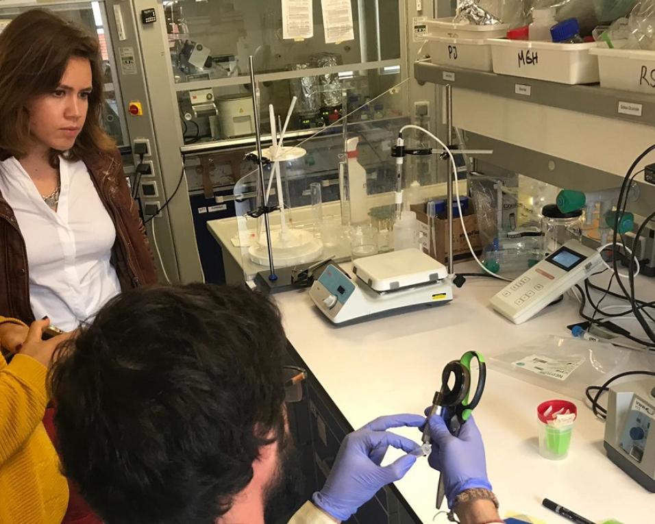 Eurodeputada na UA ouve queixas sobre atraso nos reembolsos da Fundação de Ciência e Tecnologia.