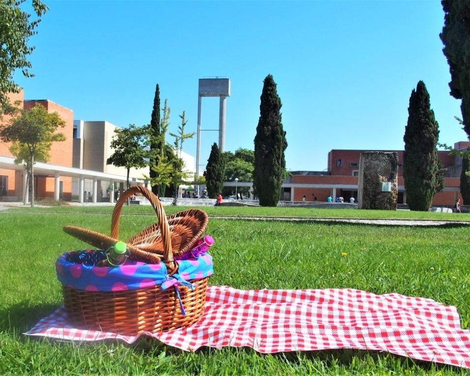 UA recebe novos alunos com piquenique na alameda.