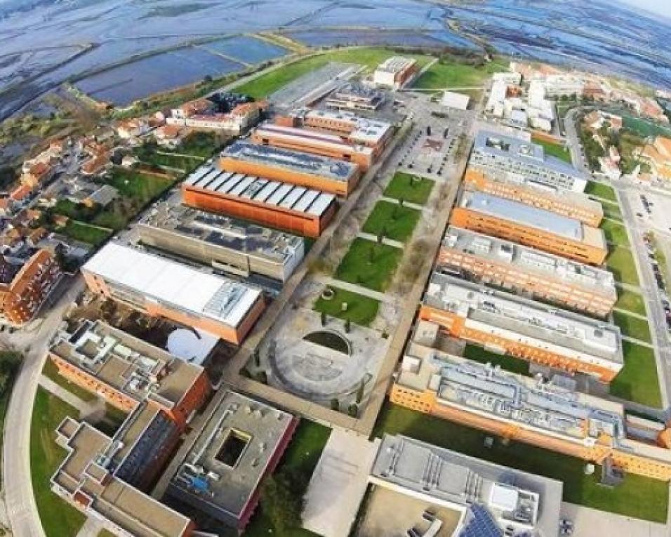 Campus da Universidade de Aveiro ganha vida com a Semana do Enterro.