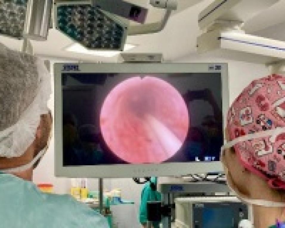 Centro Hospitalar garante urgência urológica de segunda a sexta.