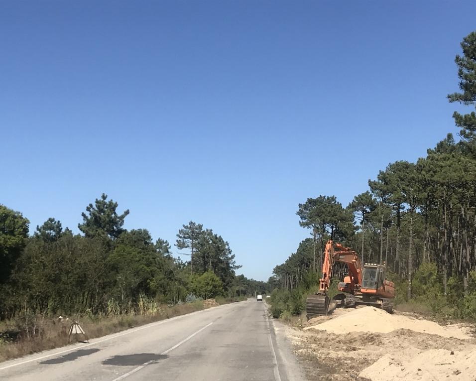 Vagos: Estrada florestal entre a Gafanha do Carmo e a Vagueira em obras.