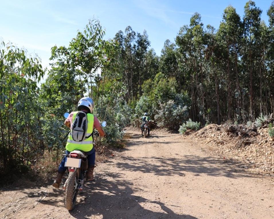 Anadia avança com vigilância móvel da floresta