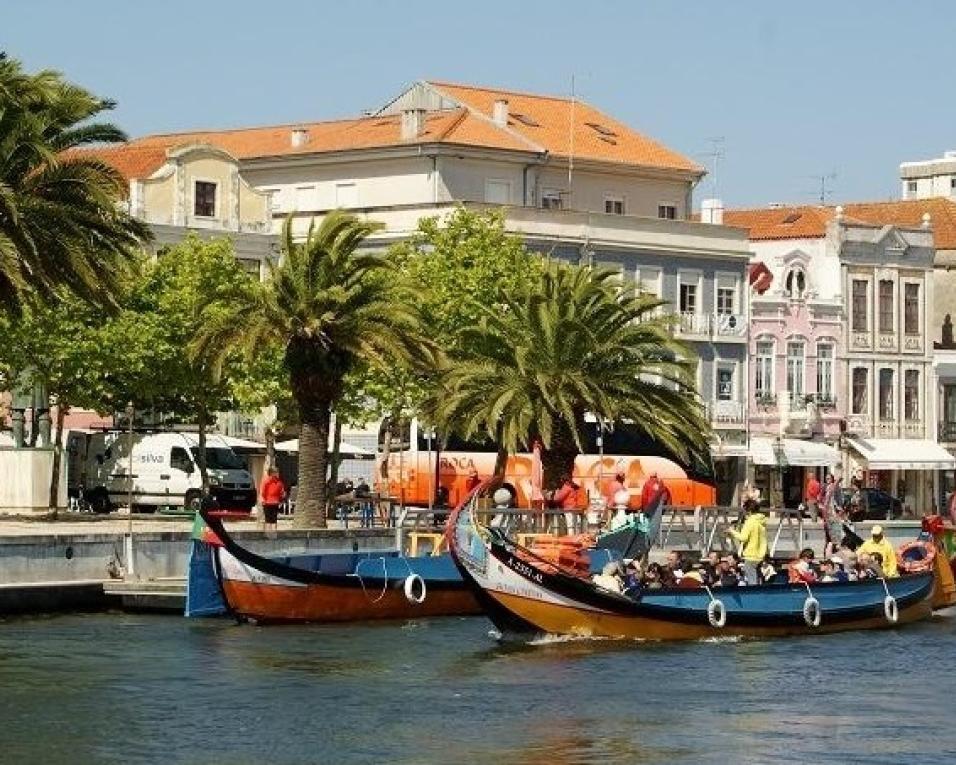 Juntos pelo Rossio prepara contestação jurídica ao projeto de reabilitação com estacionamento.