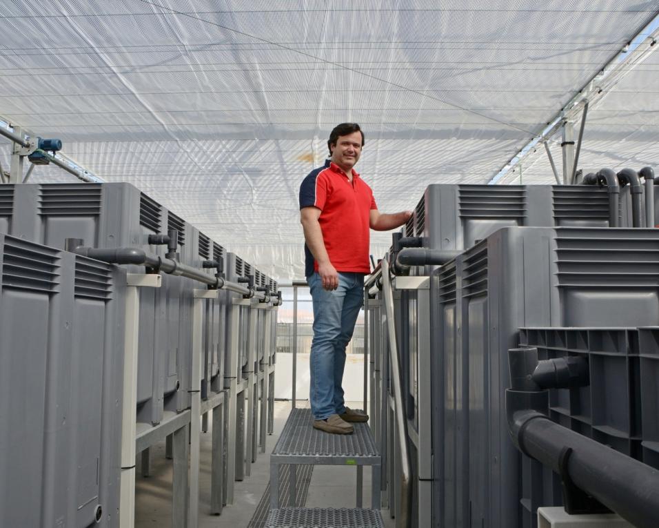 Gafanha da Nazaré: UA cria no ECOMARE instalação-piloto para testar novo sistema de aquacultura.