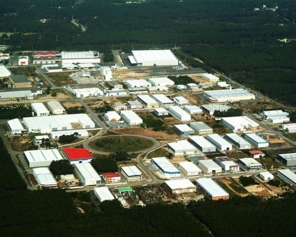 ICNF limpa floresta na área próxima da zona industrial da Mota.