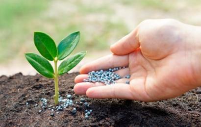 Fertilizantes artificiais Fertilizantes artificiais