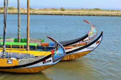 Porto de Encontro na Terra Nova sobre o 'Movimento MARIA'.