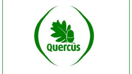 QUERCUS QUERCUS